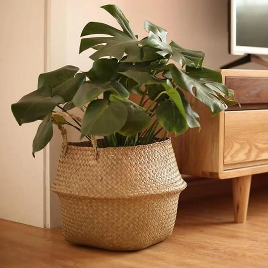 Seagrass Wicker Storage Basket for Hanging and Storage