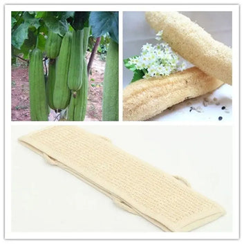 Soft natural loofah scrub for shower